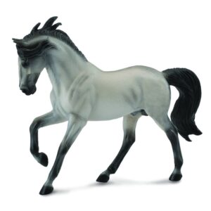 Grey Andalusian Stallion Horse
