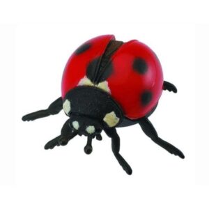 Ladybug