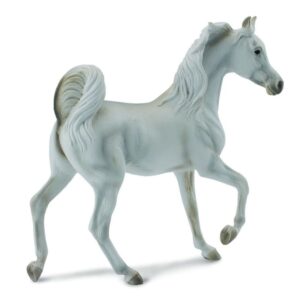 Grey Arabian Mare Horse