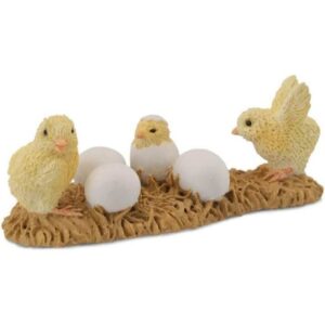 Hatching Chicks