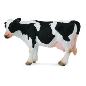 Friesian Cow