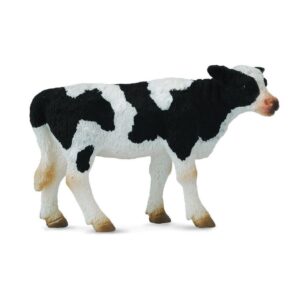 Friesian Calf