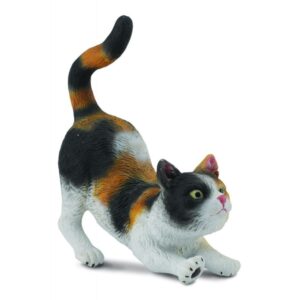 House Cat