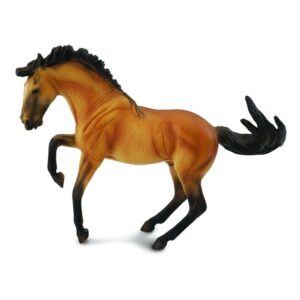 Buckskin Lusitano Stallion Horse