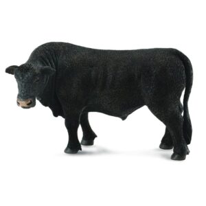 Black Angus Bull