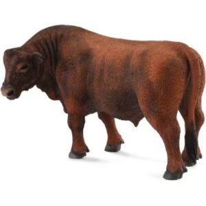 Red Angus Bull