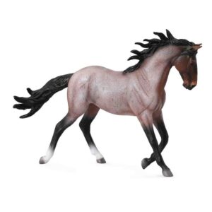 Bay Roan Mustang Mare Horse