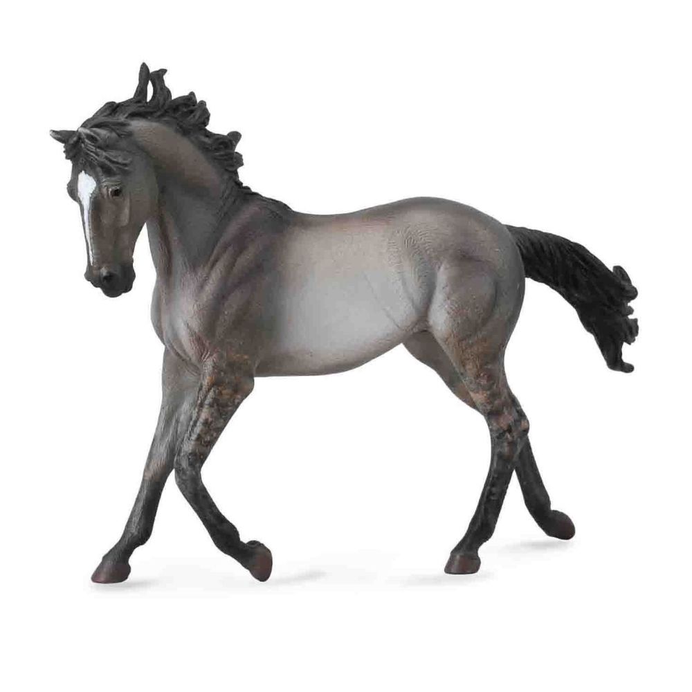 Grulla Mustang Mare Horse
