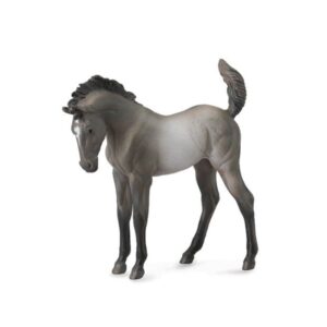 Grulla Mustang Foal Horse