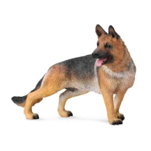 German Shepherd Dog