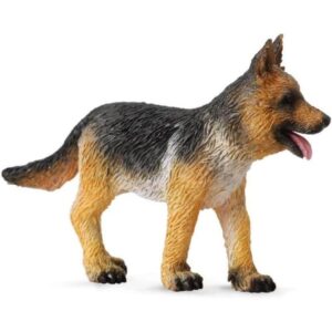 German Shepherd Puppy