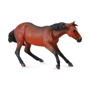Bay Quarter Horse Stallion Horse