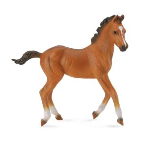 Bay Quarter Horse Foal