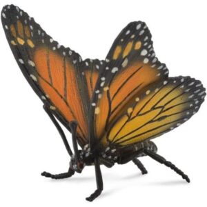 Monarch Butterfly