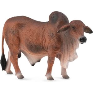 Red Brahman Bull
