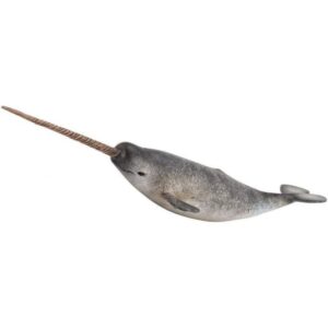 Narwhal