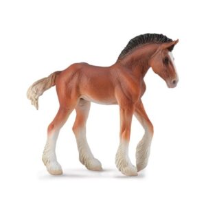 Bay Clydesdale Foal Horse