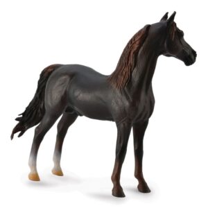 Chestnut Morgan Stallion Horse