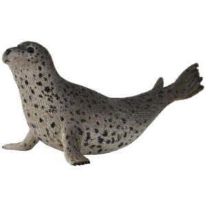 Spotted Seal