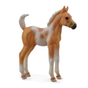 Palomino Pinto Foal Horse
