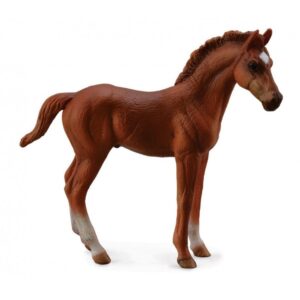 Chestnut Thoroughbred Foal - Standing Horse