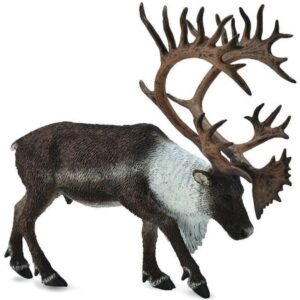 Woodland Caribou
