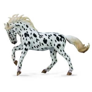 Black Leopard Knabstrupper Mare Horse