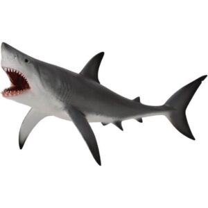 Great White Shark