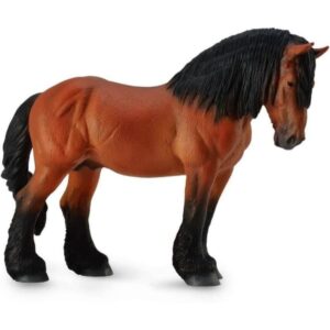 Bay Ardennes Stallion