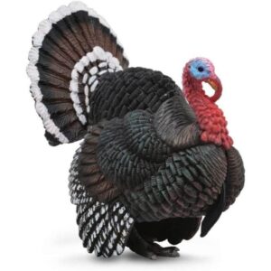 Turkey