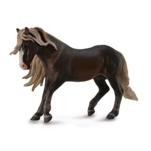 Black Forest Horse Stallion Horse