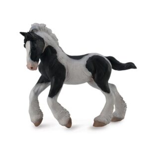 Black & White Piebald Gypsy Foal Horse