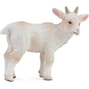 Goat Kid