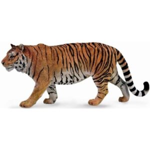 Siberian Tiger