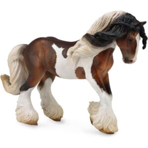 Tinker Stallion