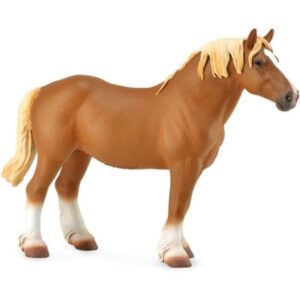 Chestnut Belgian Mare