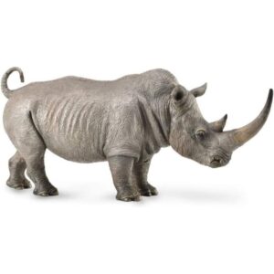 White Rhinoceros