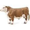 Hereford Bull