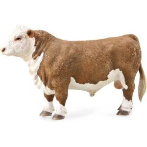 Hereford Bull