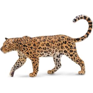 African Leopard