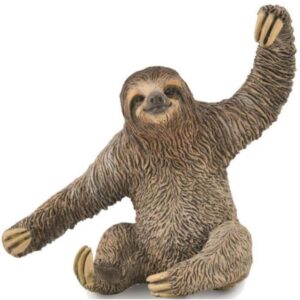 Sloth