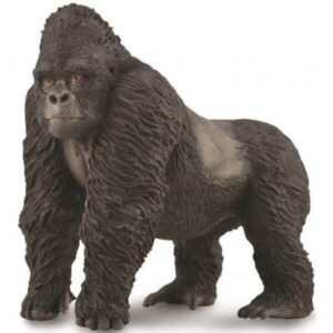 Mountain Gorilla