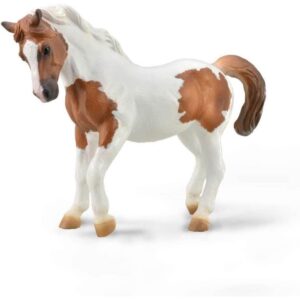Chincoteague Pony-Chsnt Pinto