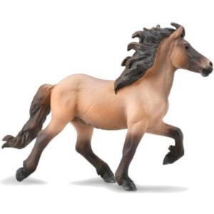 Icelandic Stallion