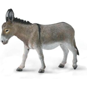 Donkey