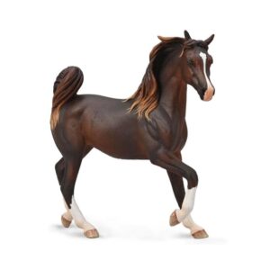 Arabian Mare Liver Chestnut