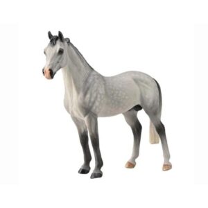 Hanovarian Stallion