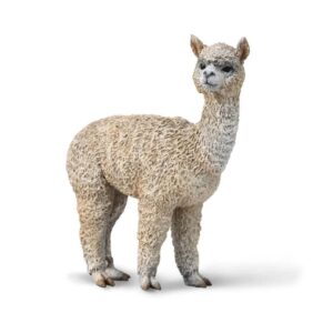 Alpaca