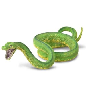 Green Tree Python