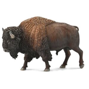 American Bison